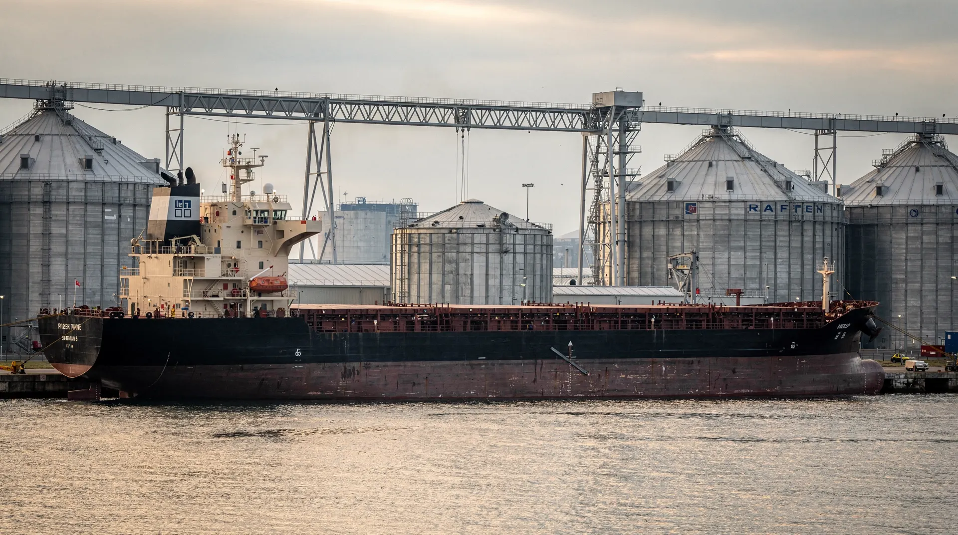 An unmarked dry-bulk carrier rests beside grain silos and a loading crane on a calm harbor.