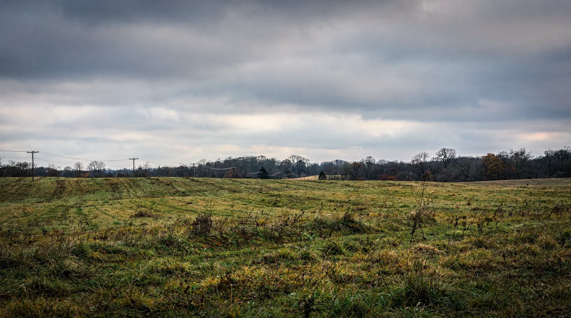 Open farmland stretches toward distant utility poles beneath an overcast sky.